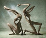 Алексей Анисимов. Счастливый случай